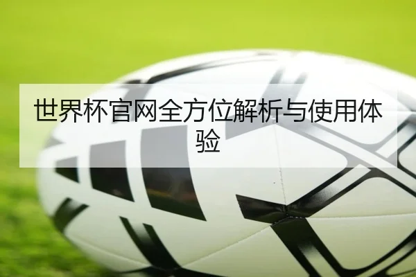 世界杯官网全方位解析与使用体验