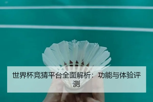 世界杯竞猜平台全面解析：功能与体验评测